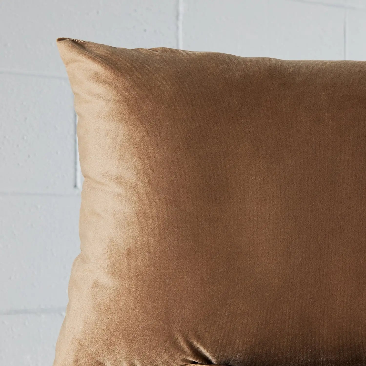 Velvet Feather Cushion Beige KAILE