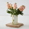 Stripe Glass Vase Pink & White - Vases - Rugs a Million